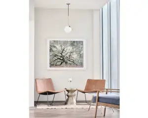 Plastic Surgery in Nashville, TN